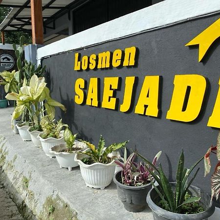 Krui Saejadi Surf&Stay Bagian luar foto