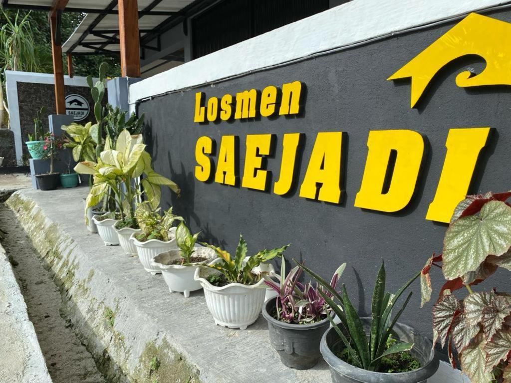 Krui Saejadi Surf&Stay Bagian luar foto